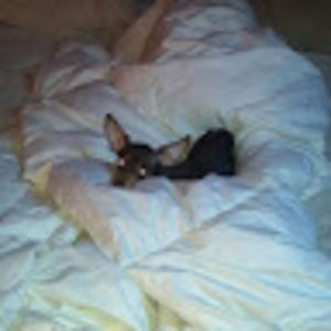 Meet your Posher, Michael